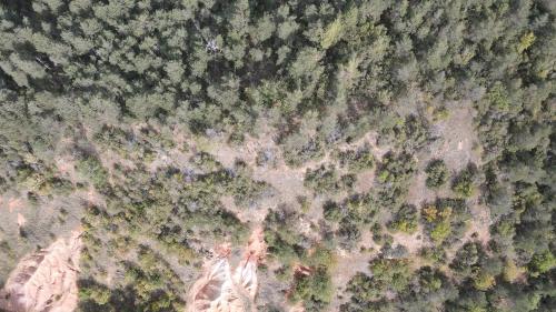 DJI_1685.JPG